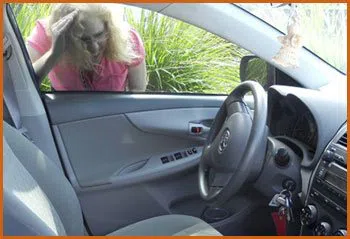 Village Locksmith Store Los Angeles, CA 323-315-9259 - 15-emergency-lockout